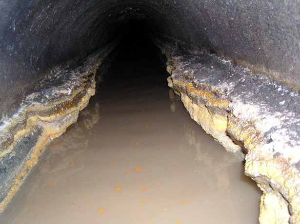 Inside a sewer pipe with a buildup of grease along the sides.