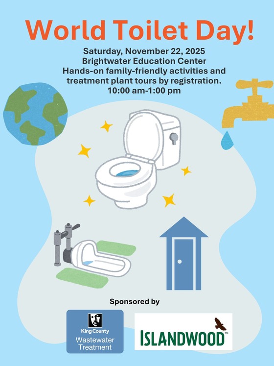 Flyer for World Toilet Day at Brightwater with toilet and water graphics.