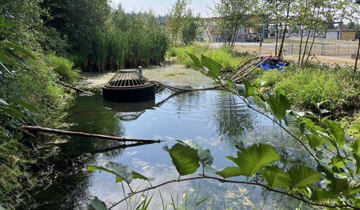 Metal sediment trap with hoses sits in the middle of a small pond.