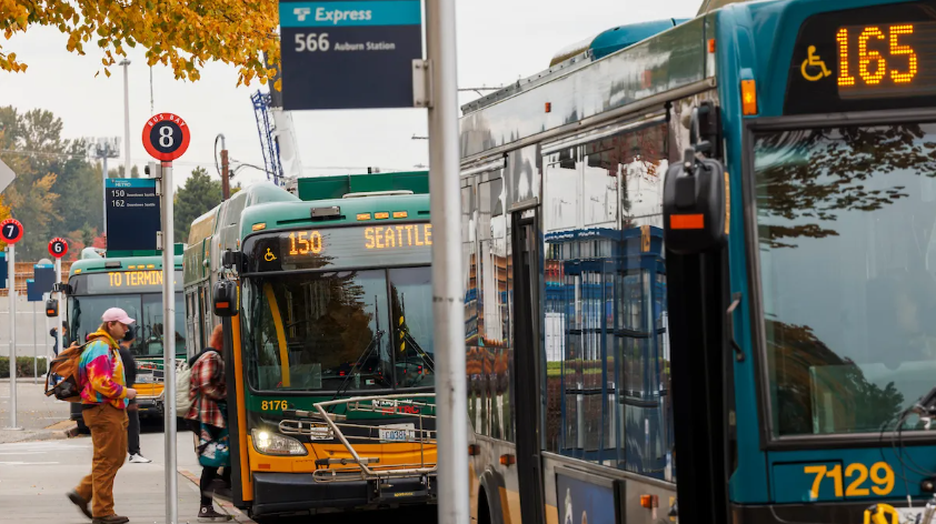 image of multiple buses at a bus stop with riders boarding 
