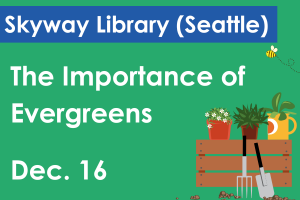 "The Importance of Evergreens on Dec. 16" is written in white on a green background. 