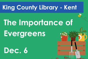 "The Importance of Evergreens on Dec. 6" is written in white on a green background. 