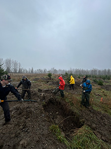 Photo of people planting trees