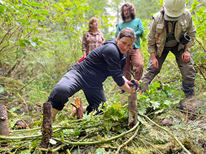 Photo of a person working with sticks and branches in a forest