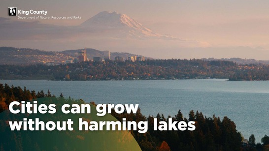Lake Washington study over a photo of Lake Washington at dusk.