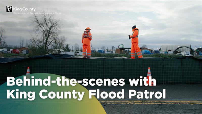 King County Flood Patrol staff monitor a levy.