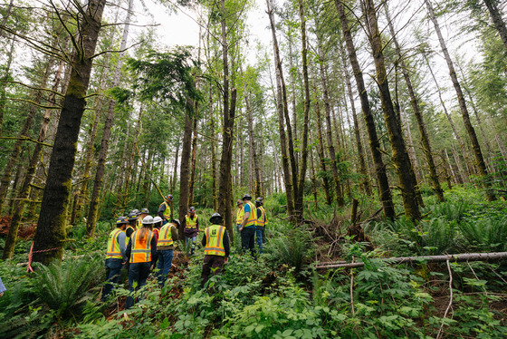 Group of wastewater staff and contractors wearing safety vests and hard hats standing in a forested area during a site visit.