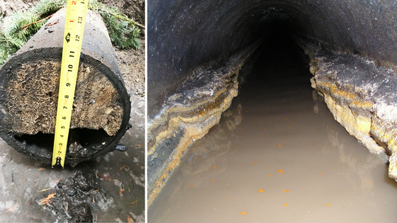 Side-by-side images show a cut sewer pipe with heavy buildup and the interior of a pipe narrowed by hardened fats, oils, and grease.