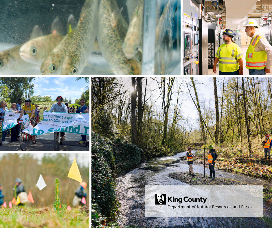 Collage of salmon, a trail opening with bikes, tree planting, two wastewater operators and scientists standing in a shallow river wearing safety gear.