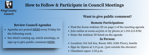 How to Follow & Participate in Council Meetings