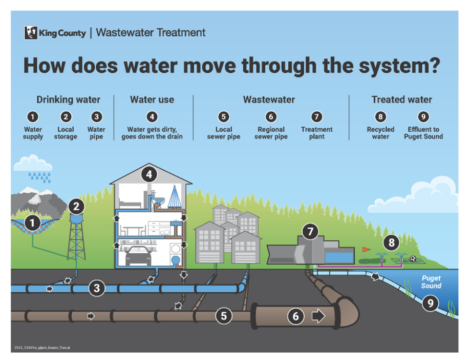 Graphic shows the water system, from fresh water entering drinking water pipes to wastewater leaving for treatment, then discharge or recycling.