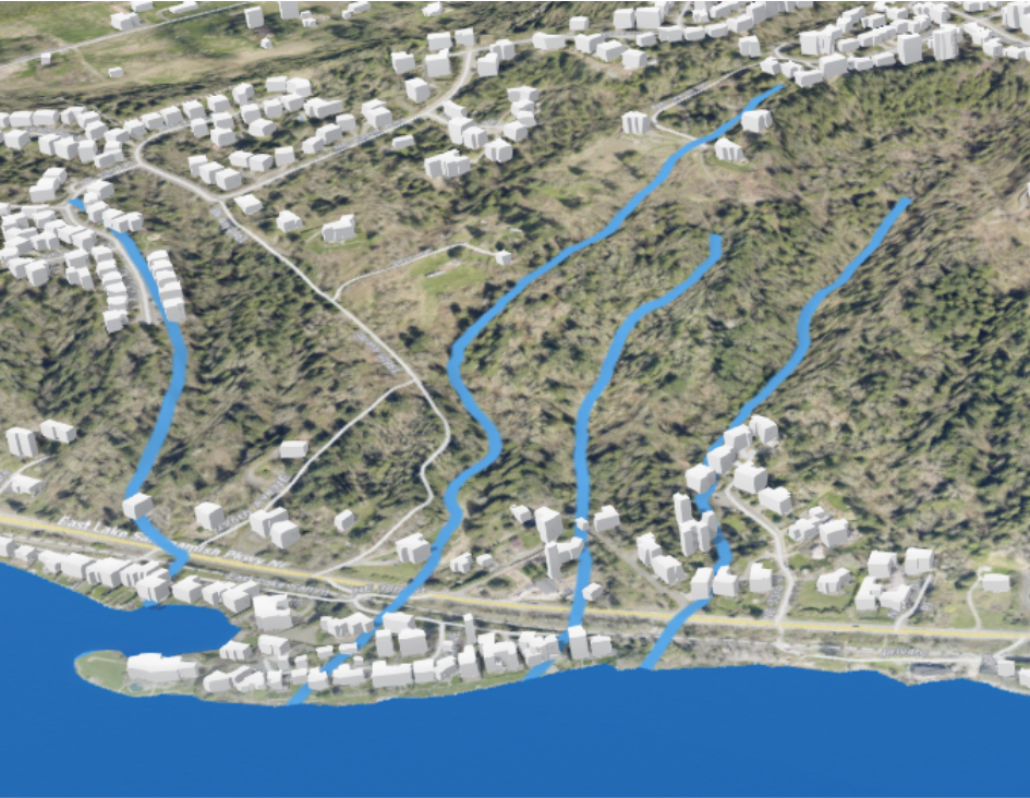 A 3-dimensional map shows streams as blue lines coming down a forested hill to a blue lake, winding between trees and homes. 