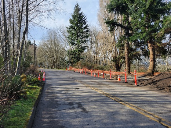 Discovery Park Blvd construction area showing repaired asphalt and cones
