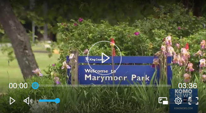 A screenshot a video showing the sign welcoming visitors to Marymoor Park in Redmond. Source: KOMO News