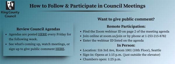 How to participate at council