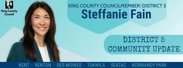 Photo in light blue of Councilmember Steffanie Fain with text stating District 5 Community Update