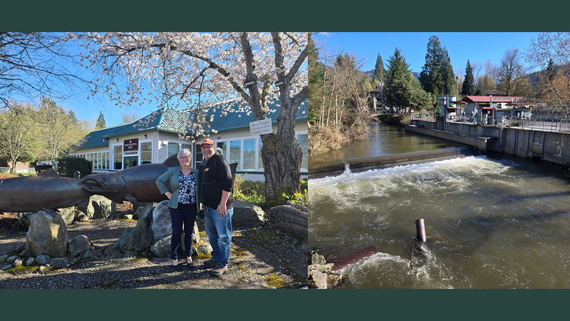 Left: Two people stand in front of metal salmon statues and a cherry blossom tree. Right: Wide view of Issaquah Creek.