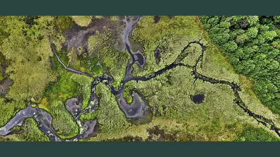 Aerial view of a river cutting through a forest.