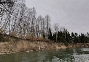 A steep sandy bank along a river with signs of recent bank sloughing