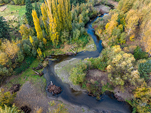 IssaquahCreek