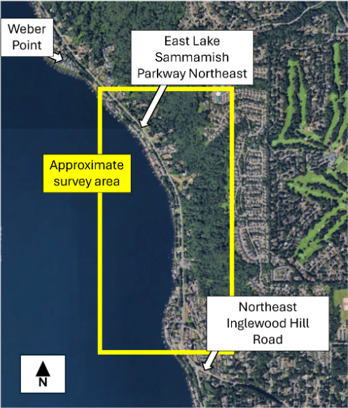 Satellite aerial map of East Lake Sammamish Parkway Northeast between Weber Point and NE Inglewood Hill Road showing the survey area. 