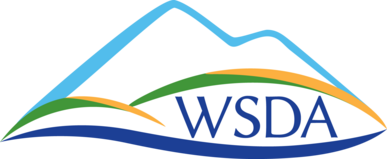 Colorful logo with minimal lines forming the outline of a mountain with the acronym WSDA inside.