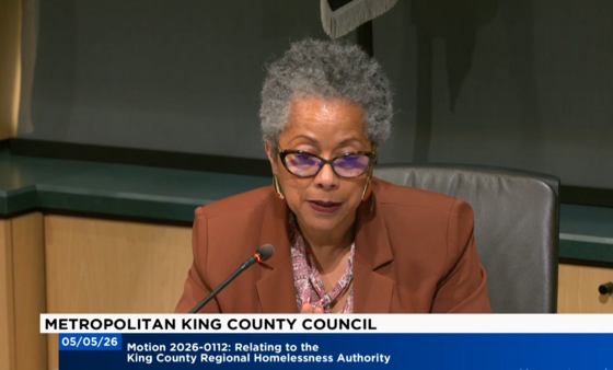 screenshot of Councilmember Rhonda Lewis speaking from the dais in the King County Council chambers.