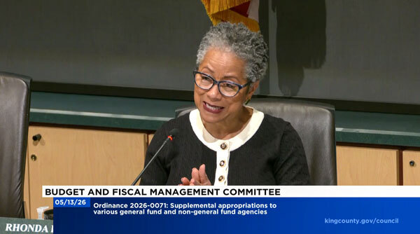 CM Lewis speaking at the Budget and Fiscal Management Committee.