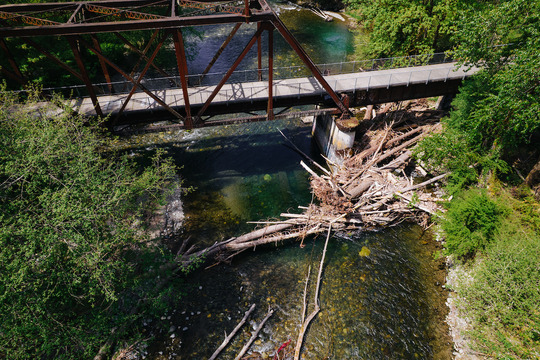 Logjam at a river over a trestle in King County/