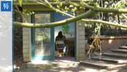 A person sits at a table painting on a mural inside a shed with the door open.