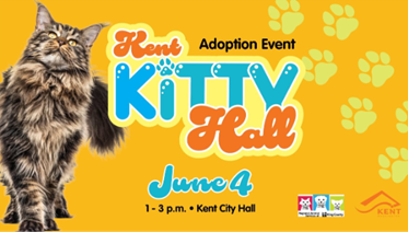 Bright orange photo with a cat stating Kent Kitty Hall June 4 1-3 PM at Kent City Hall