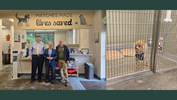 Left: Three people stand, smiling, below a mural of a dog and cat. Right: A small dog with patchy fur in a kennel.