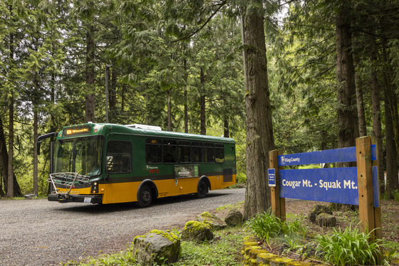 A green and yellow bus on a gravel road surrounded by evergreen trees