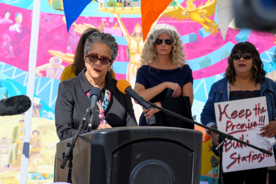 photo of Rhonda Lewis speaking at a podium outside with other people standing behind her