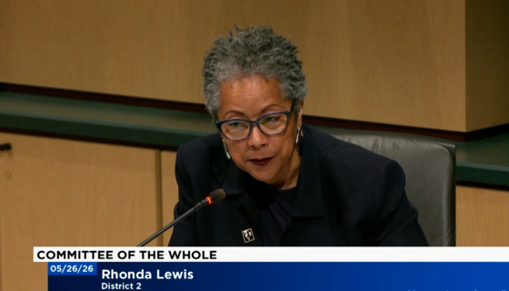 screenshot of CM Lewis speaking during a council committee meeting.