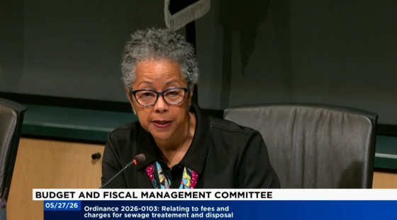 still frame of councilmember Lewis speaking during a budget and fiscal management committee hearing