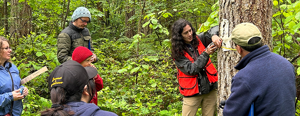 Participants in a woodland observe a forestry demonstration