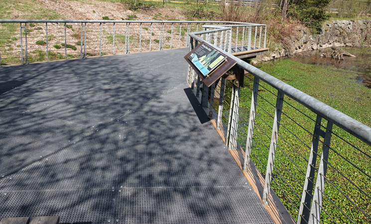 Looking out onto the viewing platform next to a pond in the Brightwater trails area.