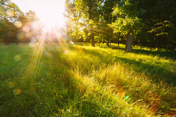 sun over fields