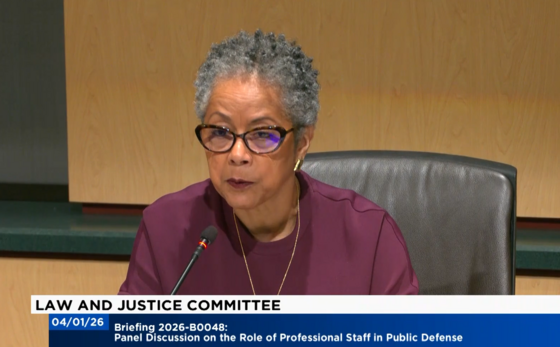 screenshot of Councilmember Lewis speaking during a committee meeting.
