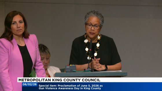 Screenshot of councilmember Lewis speaking during a council meeting.