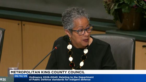 a screenshot of the councilmember speaking during a meeting.