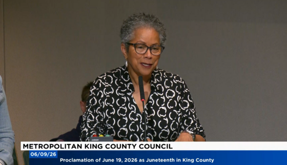 screenshot of Rhonda Lewis speaking at council