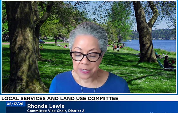 Councilmember Lewis speaking during Local Services and Land Use Committee