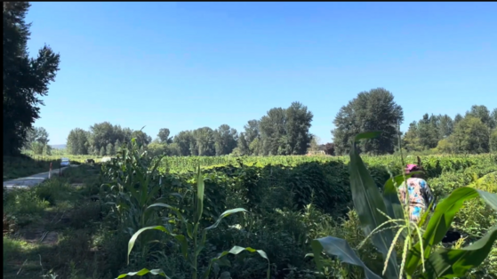 Image of Horseneck Farm 