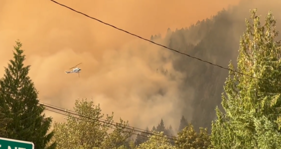 wildfire