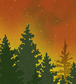Wildfire