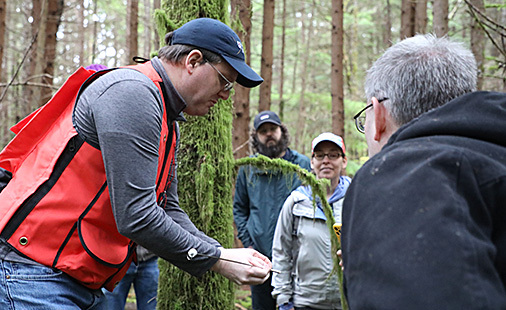 Forest learning