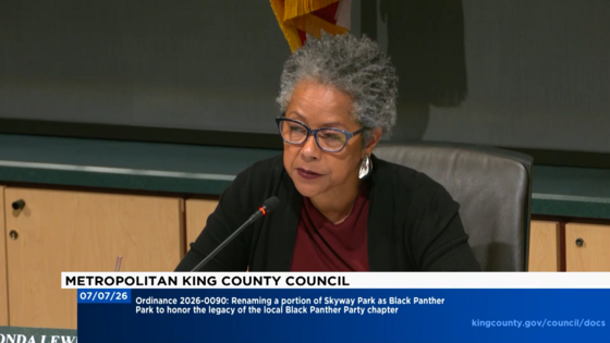 CM Lewis reading the Ordinance 2026-0090