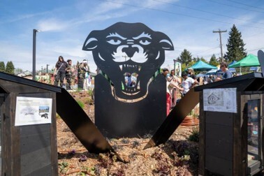 Black Panther Park